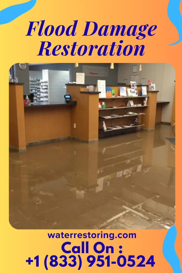 Flood Damage Restoration in Key Biscayne, FL