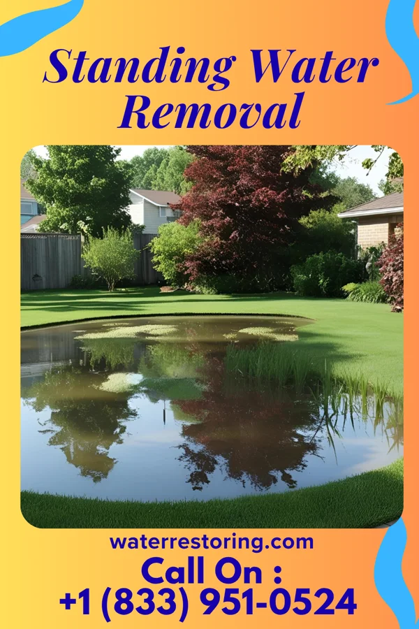 Standing Water Removal in Key Biscayne, FL